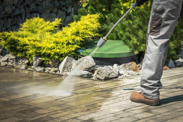 Professional  Pressure Washing Services in Sauk Rapids, MN