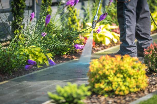 Best Restaurant Pressure Washing  in Sauk Rapids, MN